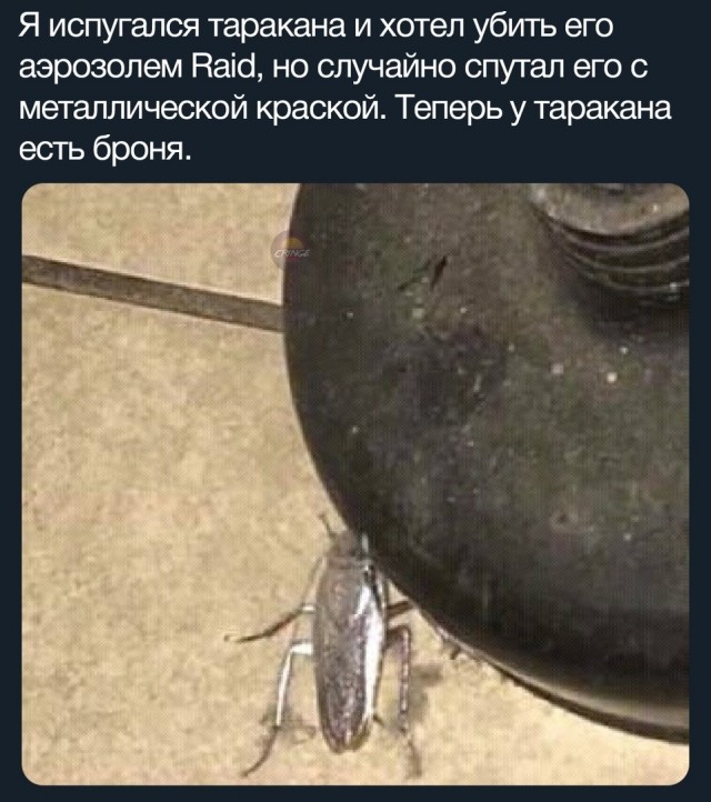Картинки разнообразные. На злобу дня и на доброту (18.06)
