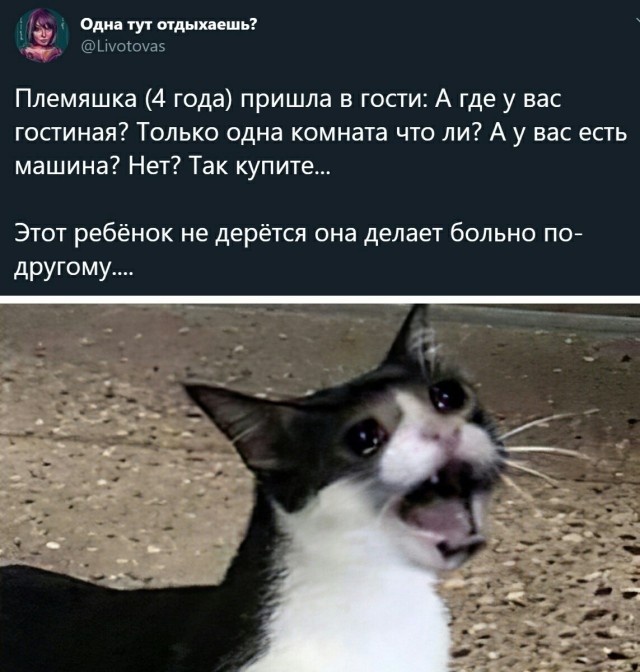Юмор в картинках