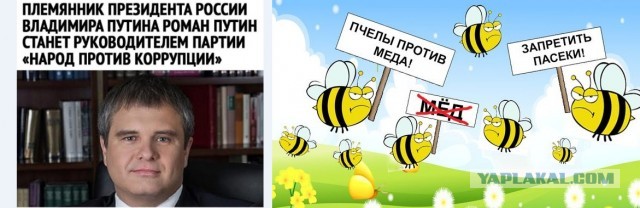 Немного картинок для настроения 09.11.20