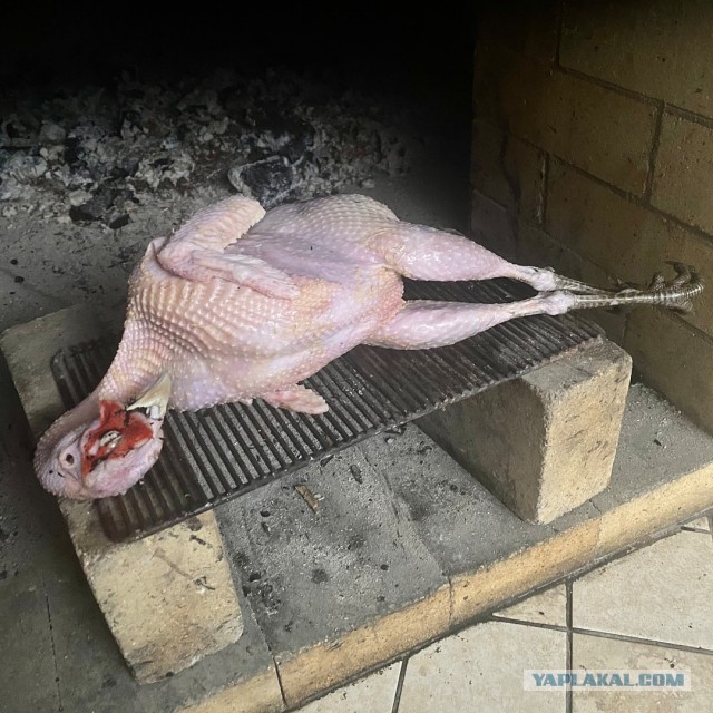 Фазан с начинкой
