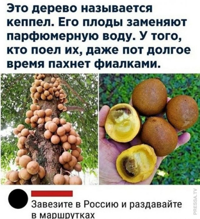 Картинки и мемы для настроения 007