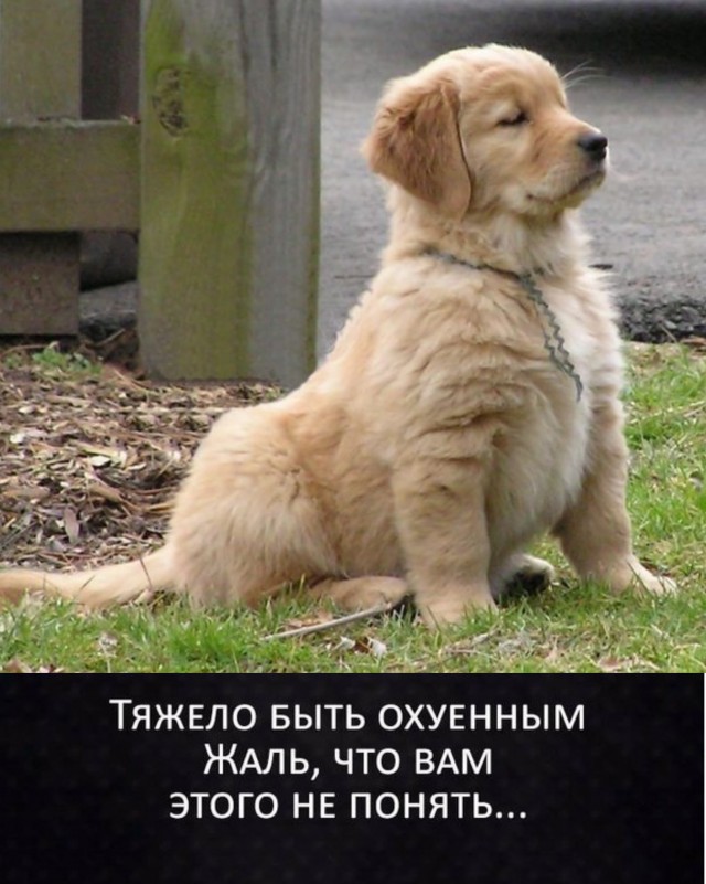 Бредзона 15.12.20