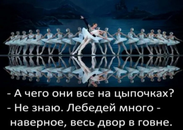 От светло серого до чёрного!