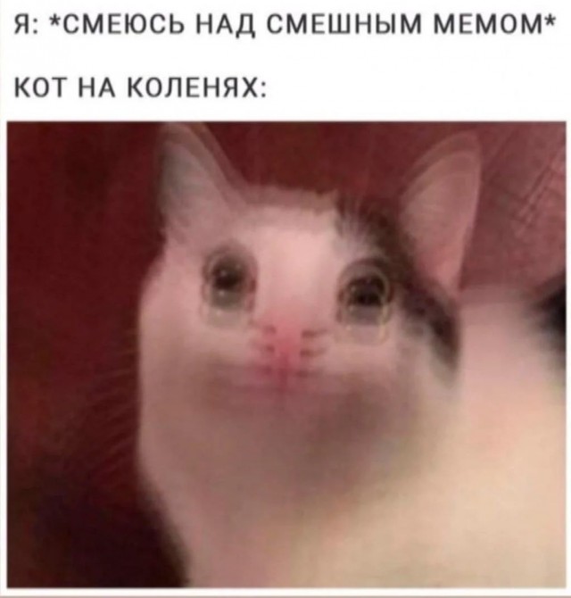 Бредзона 31.01.21