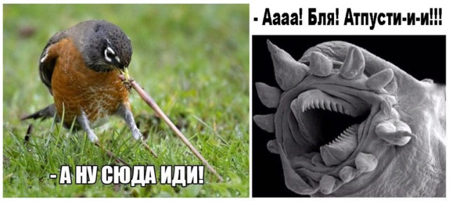 Так себе картинки 20.05.21