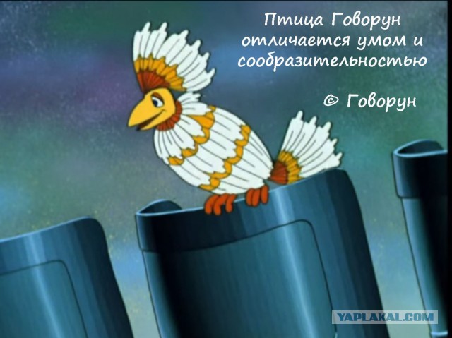 Здорово гражданин Песков...