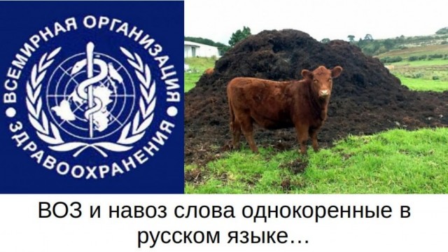 Пандемия. Коронавирус. Россия и мир. Последняя информация. Часть 24
