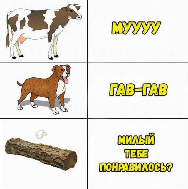 Картинки-баяны-бабаяны 01.09.2021
