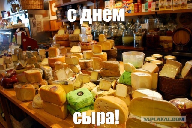 Поел сырка