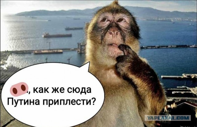 Правительство США потребовало, чтобы украинский предприниматель Максим Поляков продал свою долю в космической компании Firefly