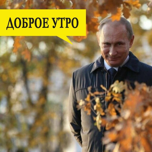 Разные картинки для настроения на любой вкус - 5
