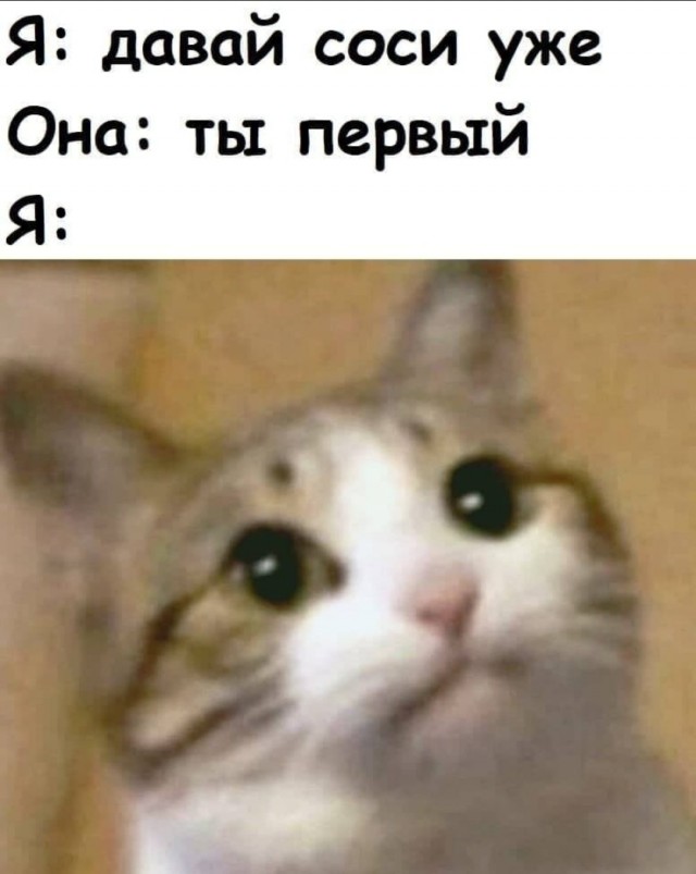 Аморальная деградация
