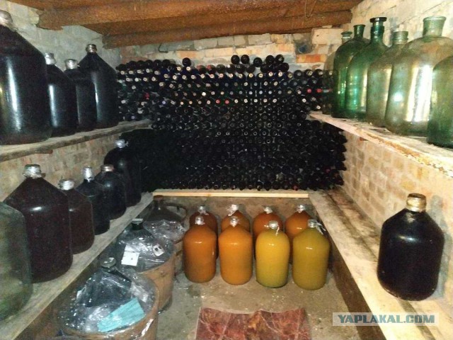 С каких это пор витамины стали роскошью?