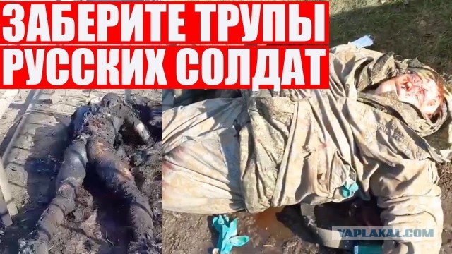 Этого никогда не запостят с #нетвойне