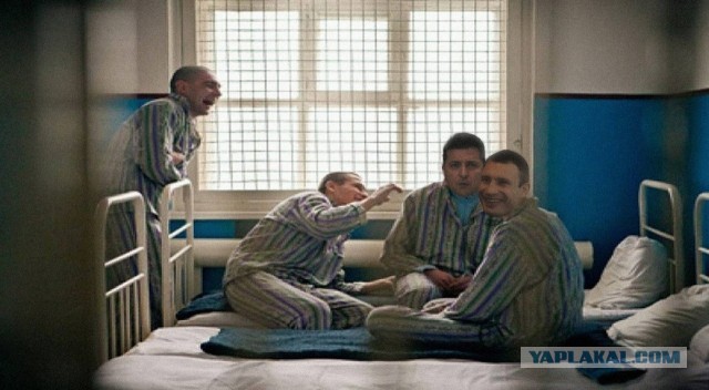 Беженцы из Украины в Германии