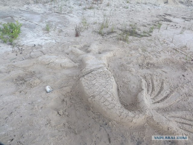 Русский север