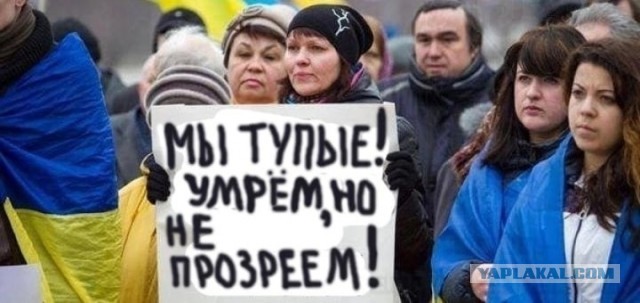 В Берлине украинская диаспора вышла на митинг против показа Чебурашки.