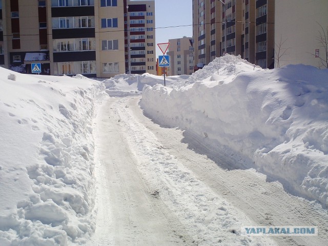 Весна на Камчатке