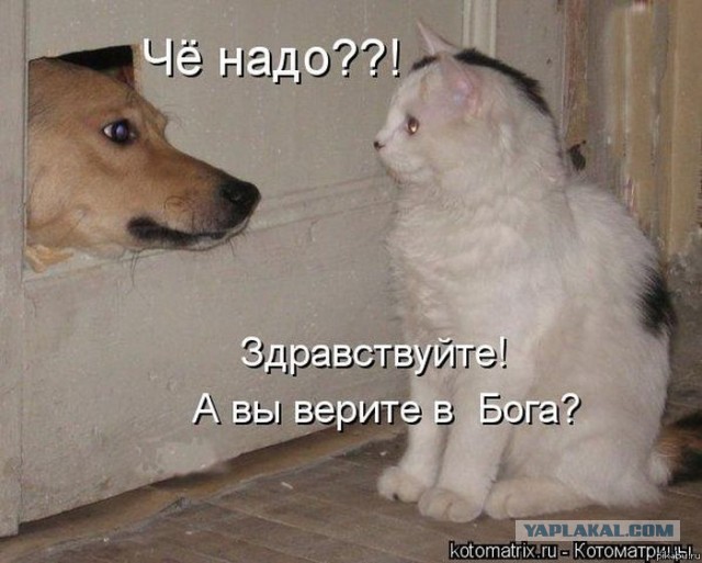 Как удивить свидетелей иеговы?