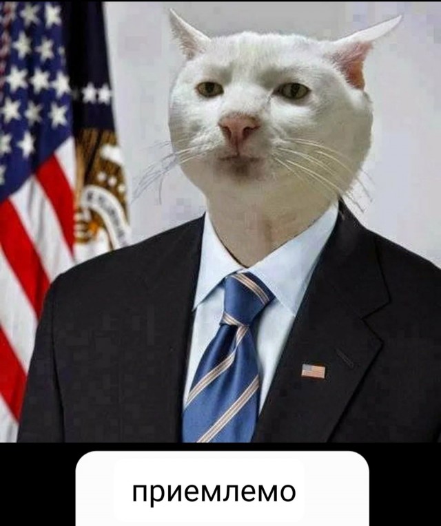 Получила по щам