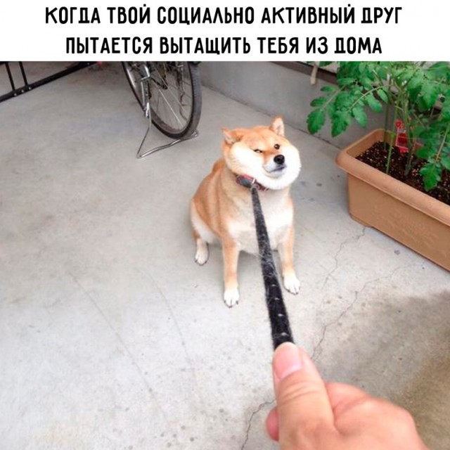 Картинки и мемы для настроения - 167