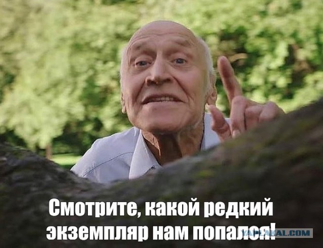 Лихач на гидроцикле уверяет, что никого и ничего не видел