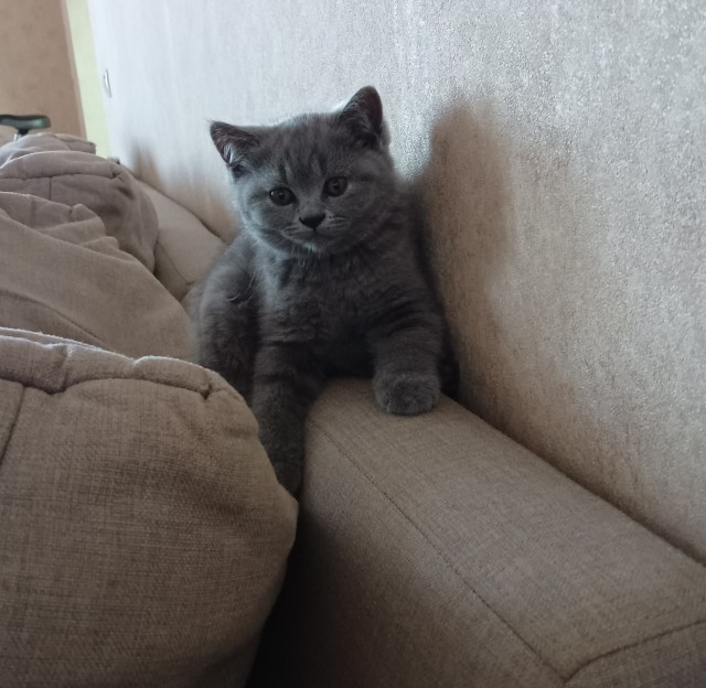 Ну вот и я стал рабом.