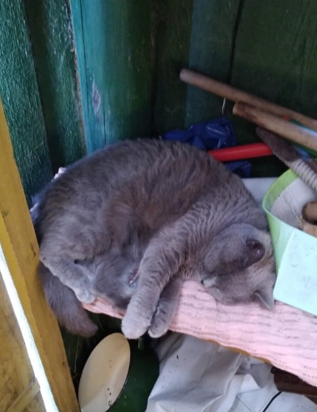 Плюс один раб)