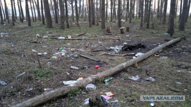 Сходил в лес