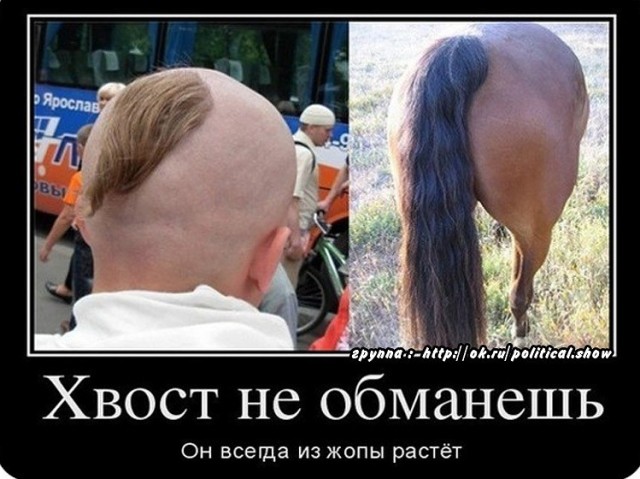 Перцем в харю и на фронт!