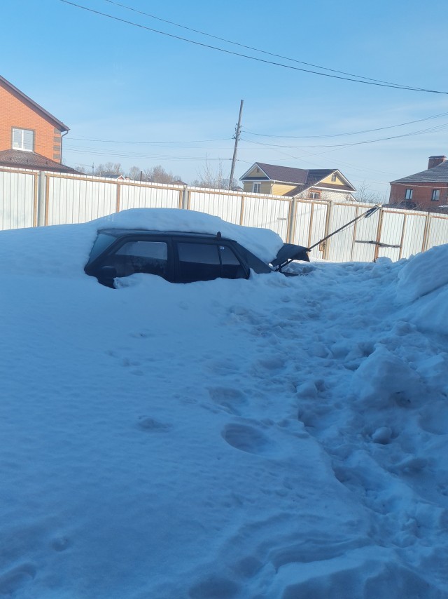 Весна. Вылезают подснежники