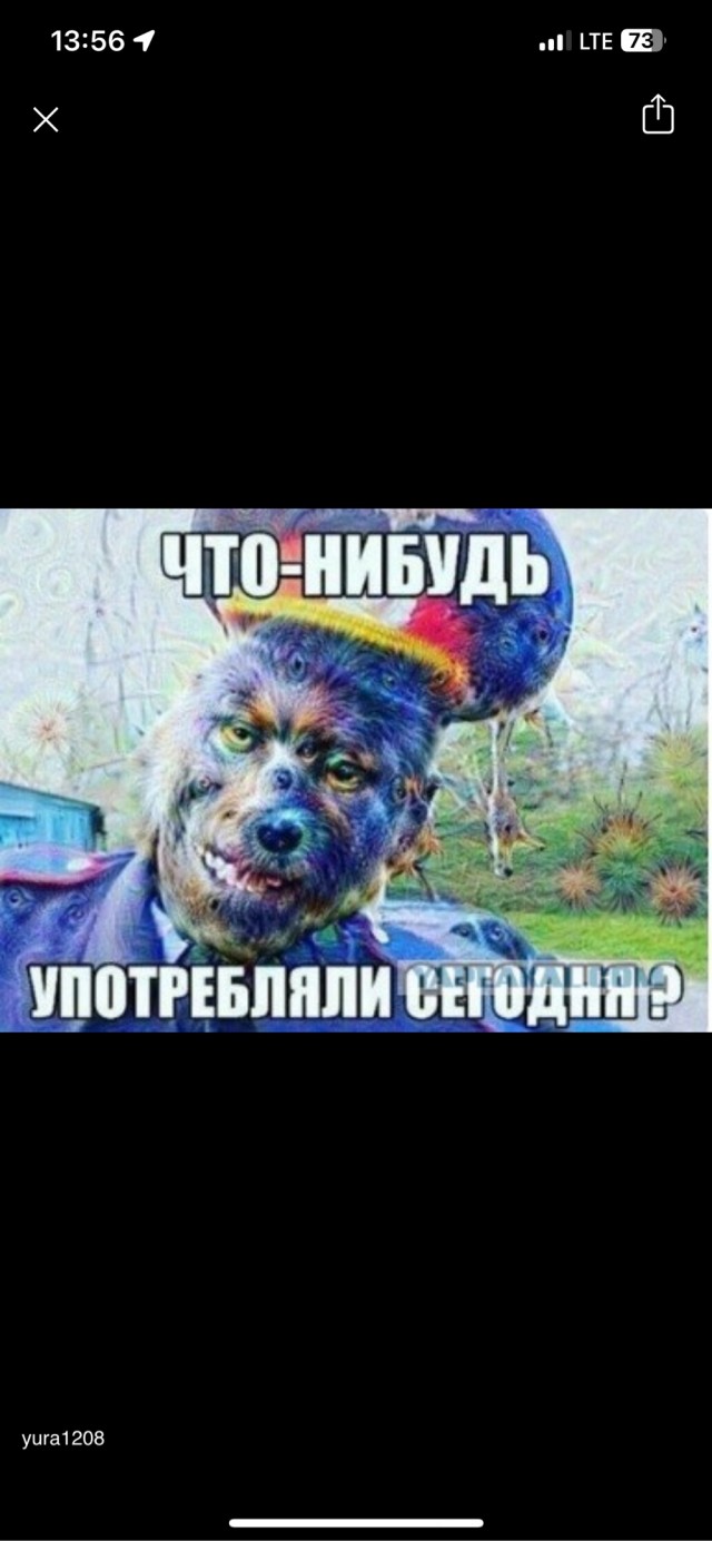 Так себе картинки 27.05.24