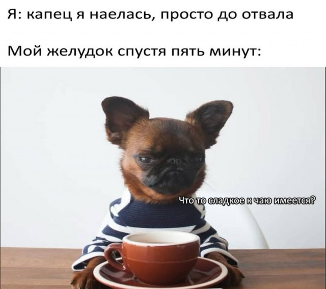Немного забавных картинок от 22.08.2024