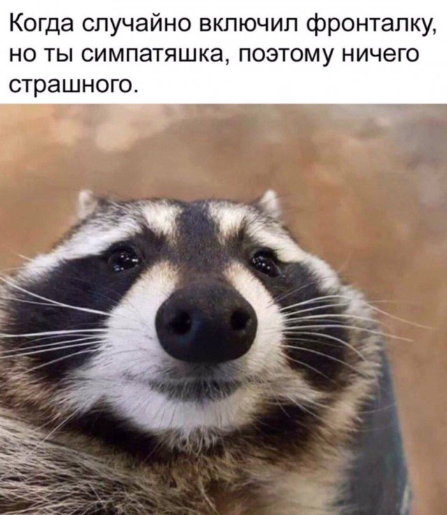 Так себе картинки 28.08.24