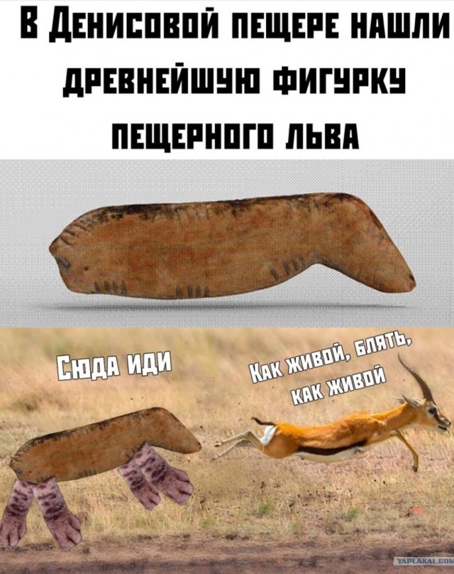 Хобби и заработок