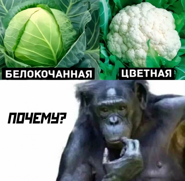 Так себе картинки 20.10.24