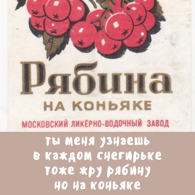 Картинки со стишками депресняшками - 10