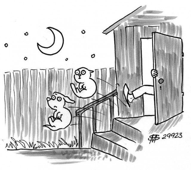 Выгул домашних животных в сельской местности