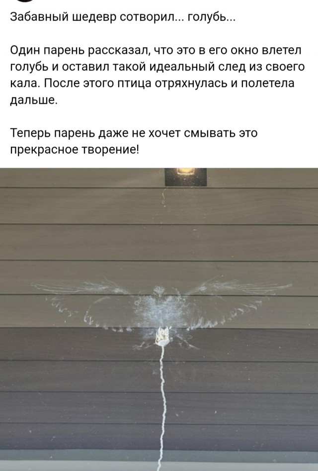 Веселое настроение в картинках (15.07.2025)