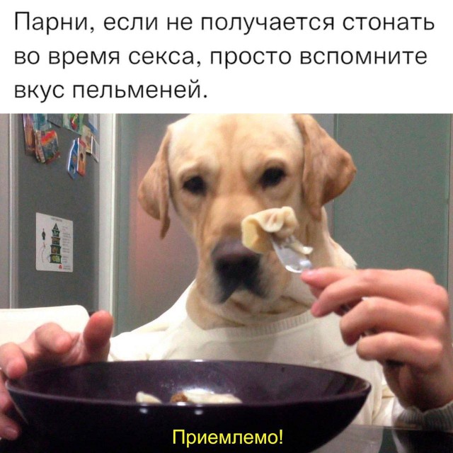 Картинки для деградации-5 (разной степени свежести)