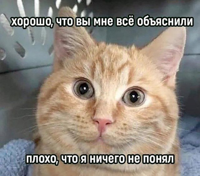 12 августа... Ждём!