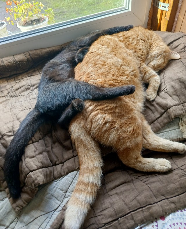 Тьма атакует!