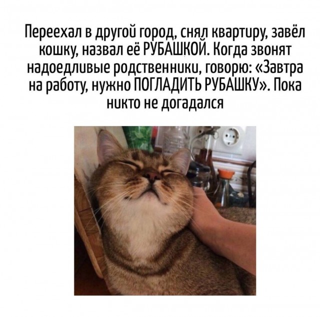Картинки для деградации 71 (разной степени свежести)