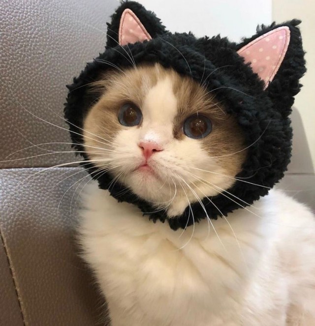 Кажется мы стали забывать