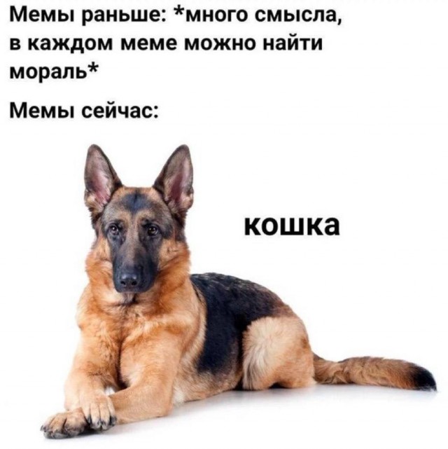 Небаянистая деградация 13 (Дегрономикон)