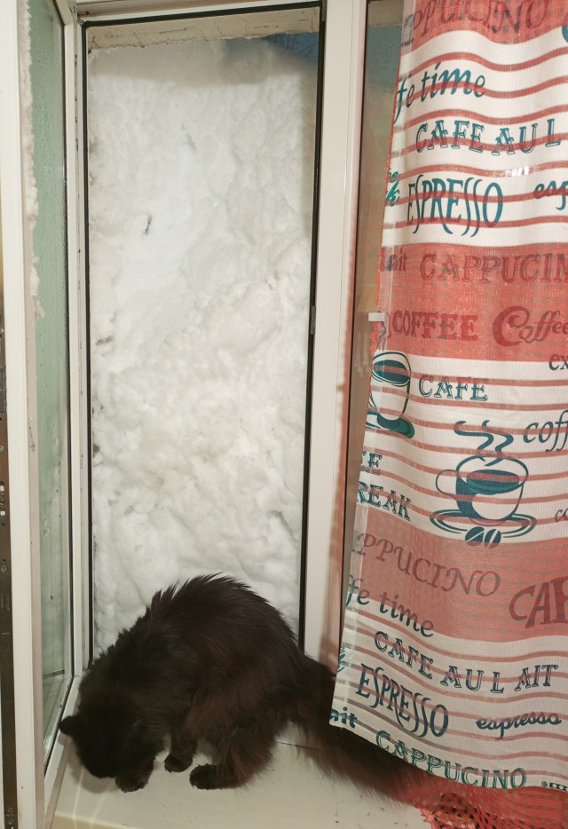 Камчатский мальчишка чувствует себя очень хорошо