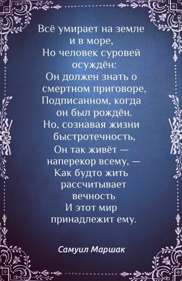Куча мала 14
