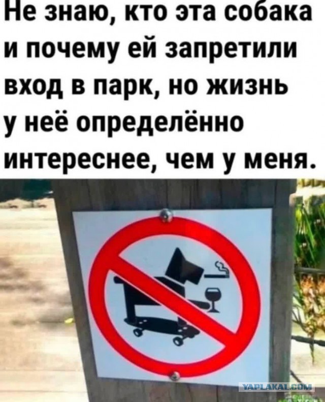 Забавные и не очень скромные картинки - 28