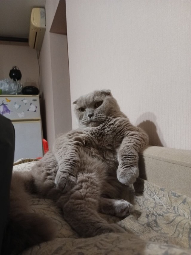 На горшок и спать