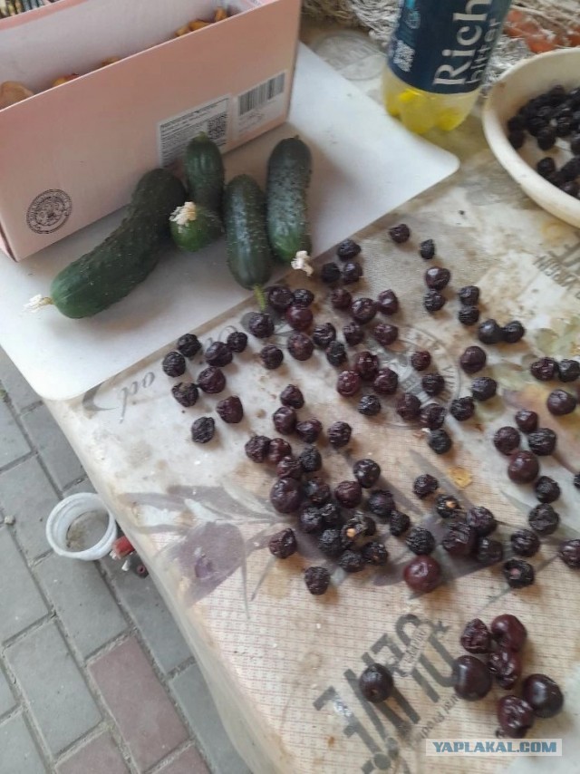 Достучаться до небес.